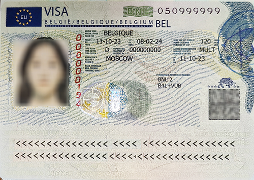 шенгенская виза D