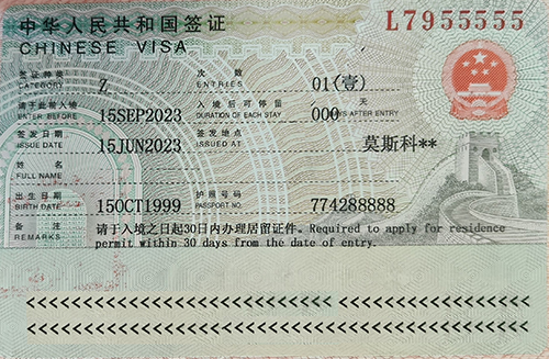 рабочая виза в китай 2024